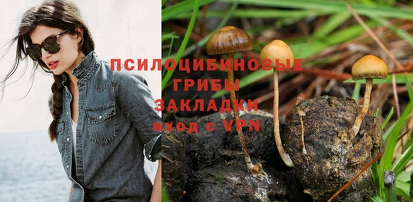 гидра Нязепетровск
