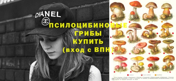 стафф Няндома