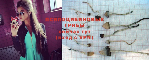 стафф Няндома