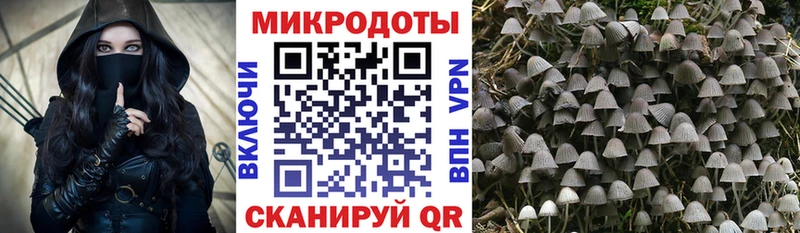 Галлюциногенные грибы прущие грибы Балтийск