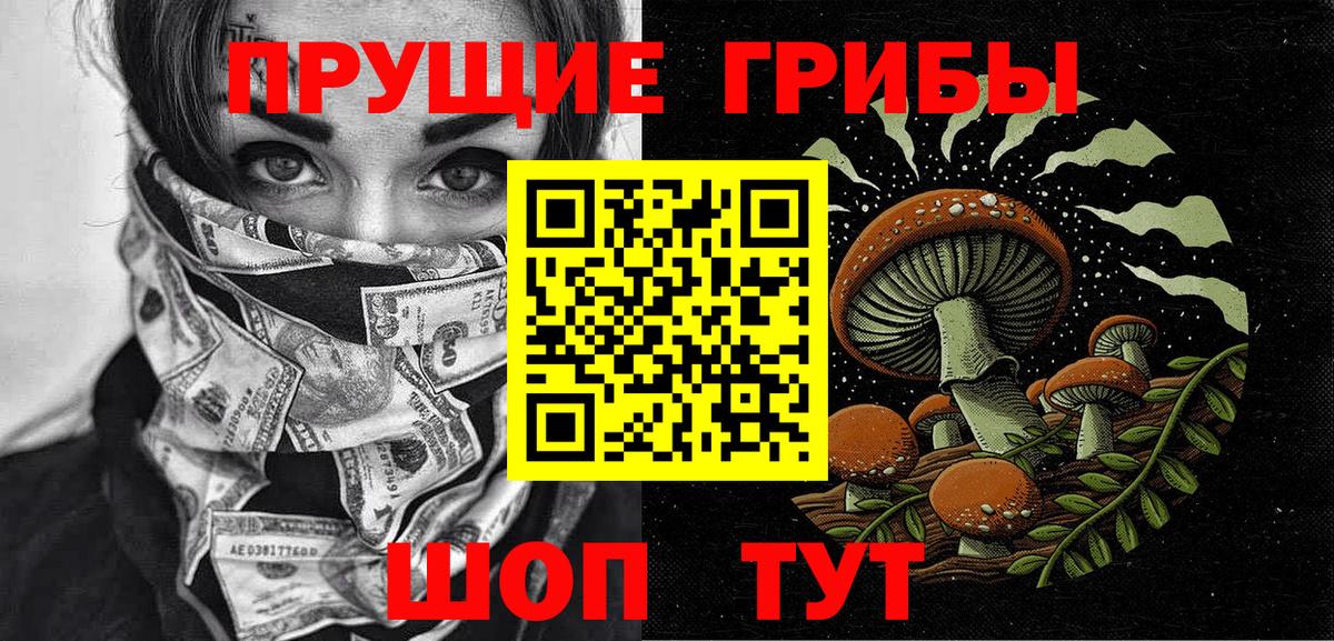 Псилоцибиновые грибы ЛСД Балтийск